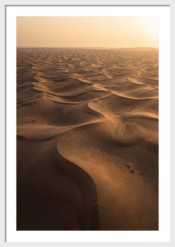 Desert Dunes From Above
