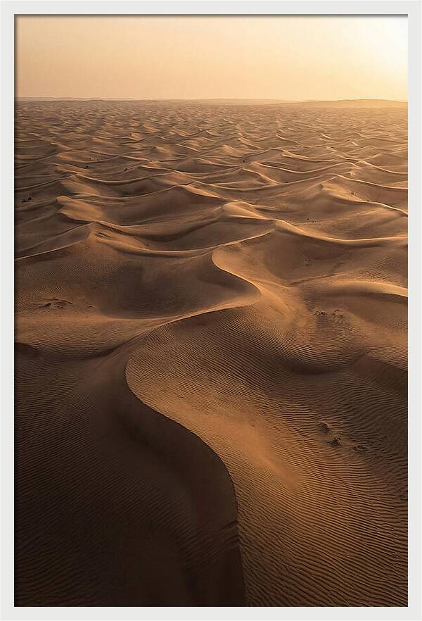 Desert Dunes From Above