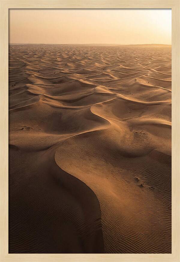 Desert Dunes From Above