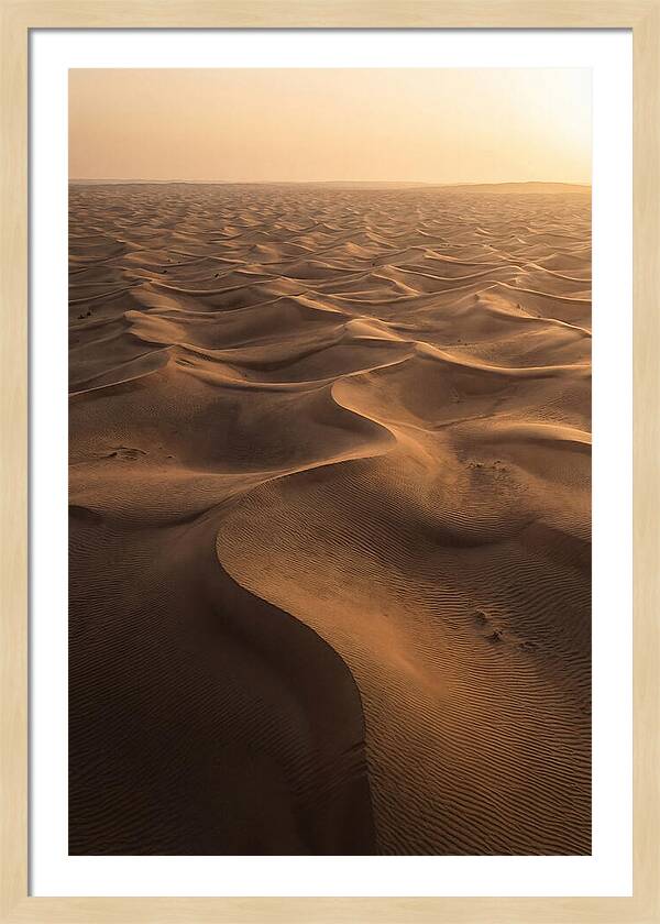 Desert Dunes From Above