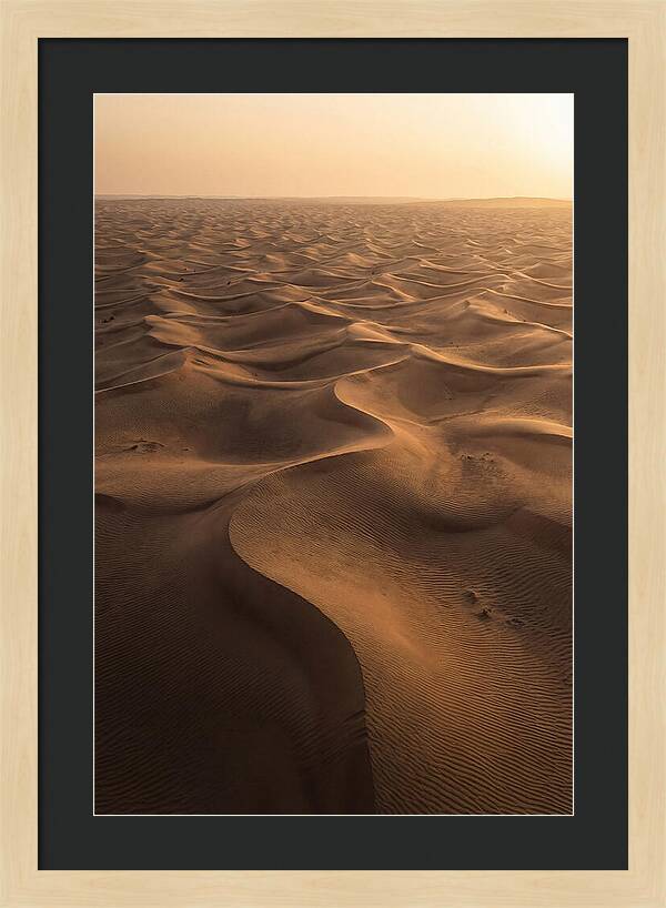 Desert Dunes From Above