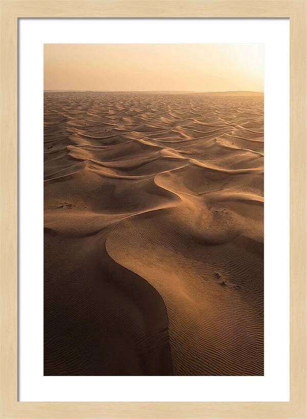 Desert Dunes From Above