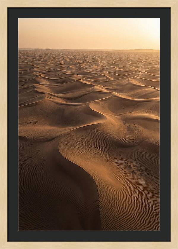 Desert Dunes From Above