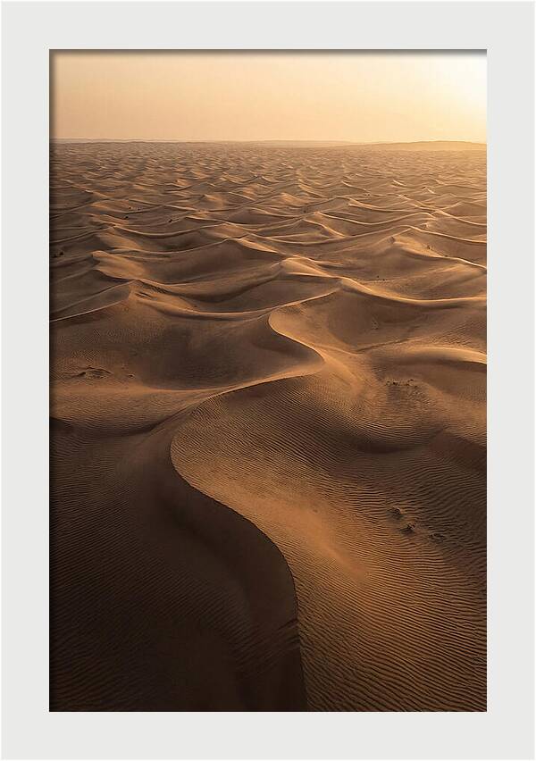 Desert Dunes From Above