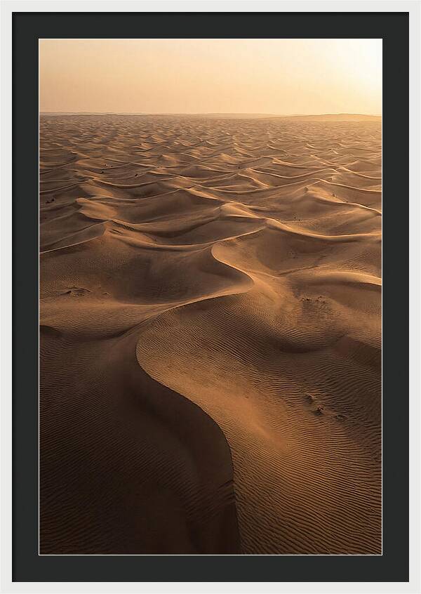 Desert Dunes From Above
