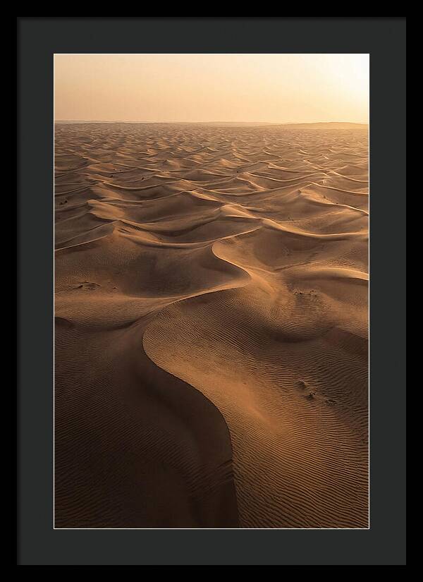 Desert Dunes From Above