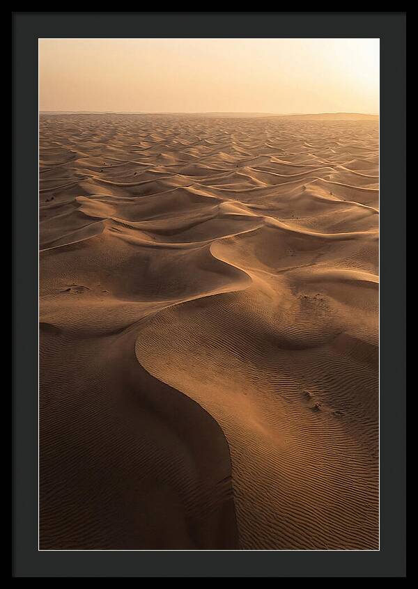 Desert Dunes From Above