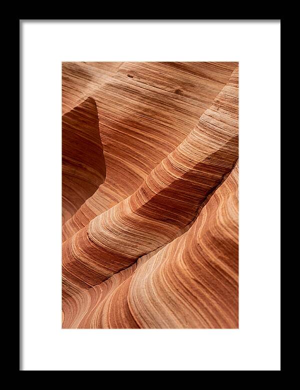 Desert Dunes In Motion