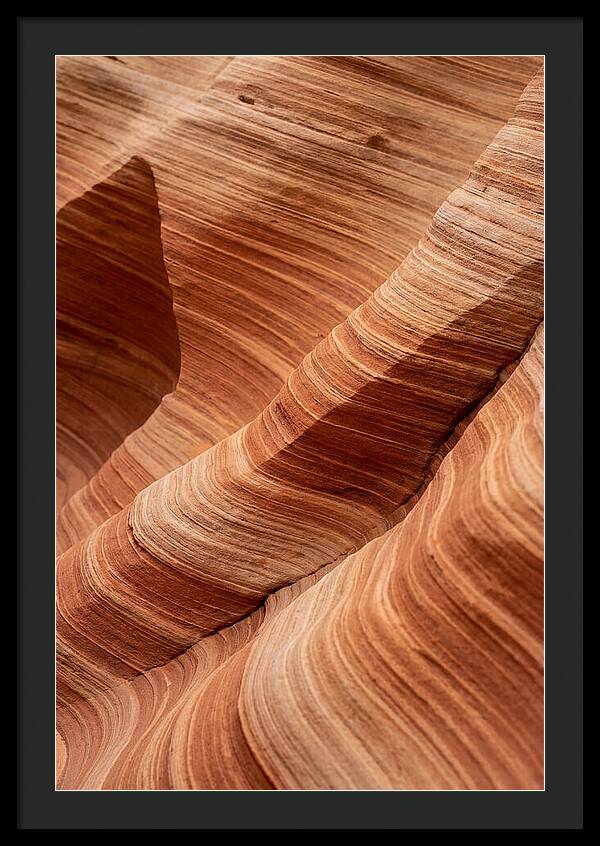 Desert Dunes In Motion