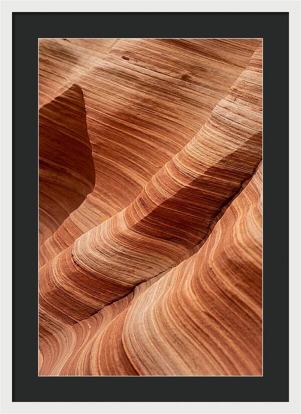 Desert Dunes In Motion