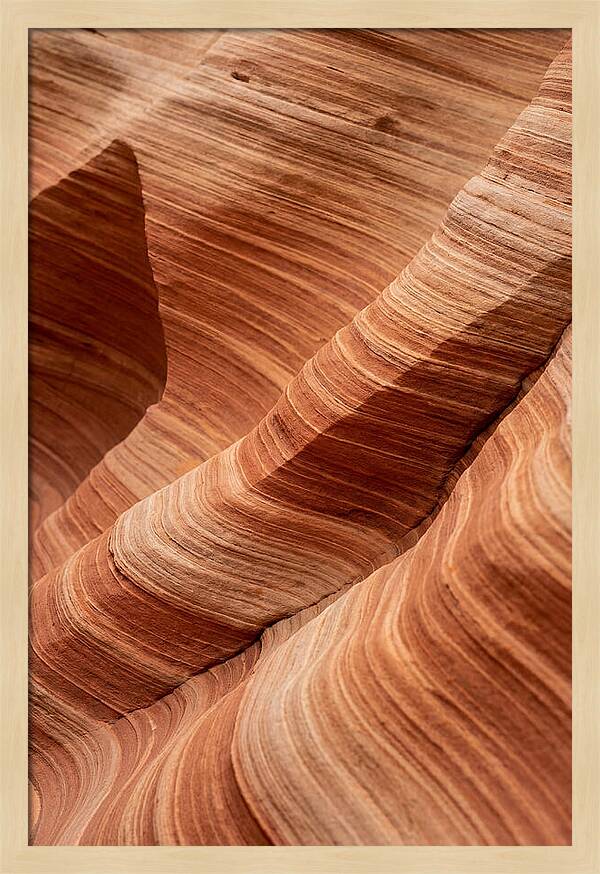 Desert Dunes In Motion