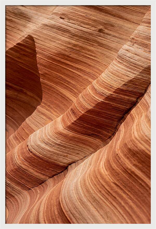 Desert Dunes In Motion