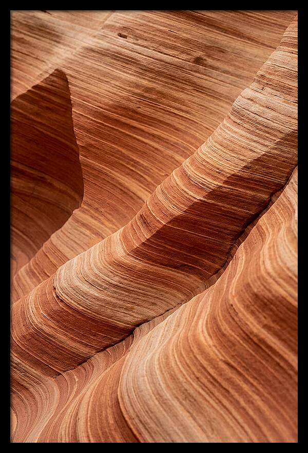 Desert Dunes In Motion