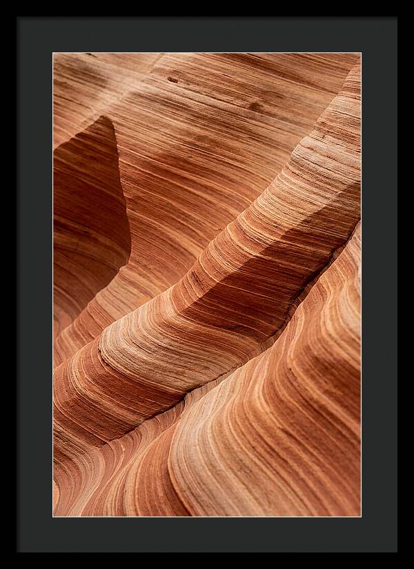Desert Dunes In Motion