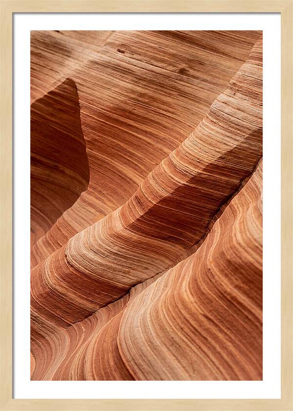 Desert Dunes In Motion