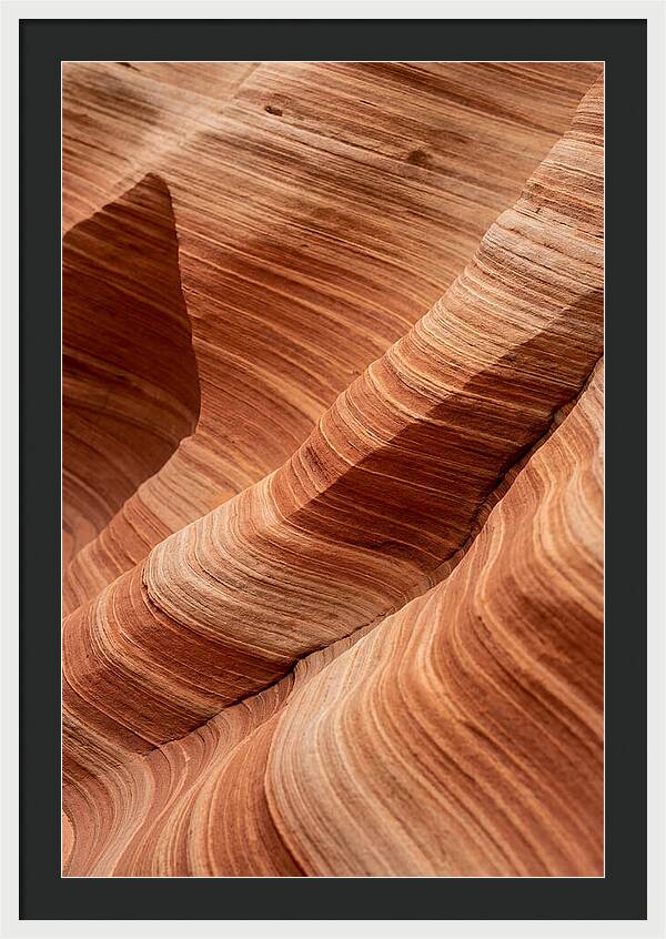 Desert Dunes In Motion