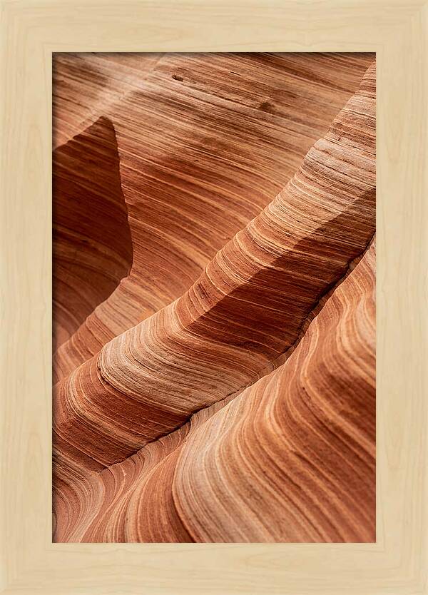 Desert Dunes In Motion