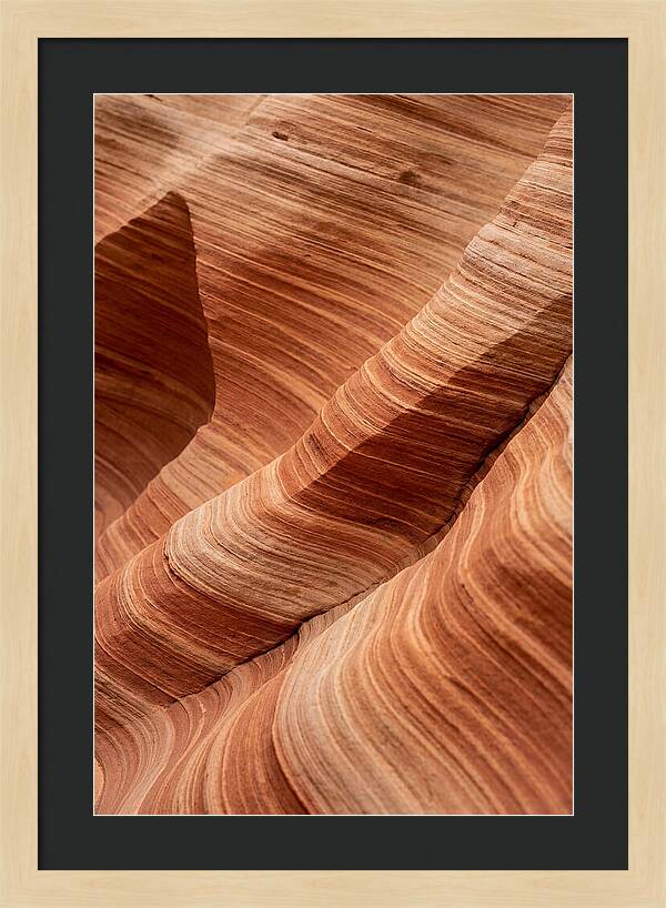 Desert Dunes In Motion