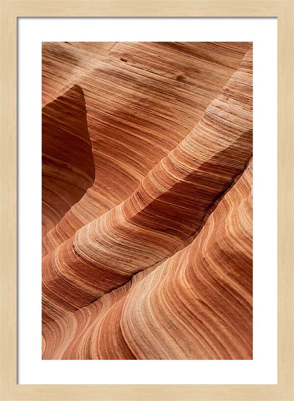 Desert Dunes In Motion