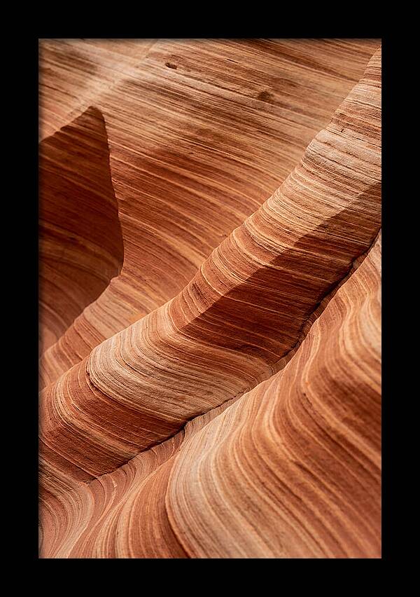 Desert Dunes In Motion