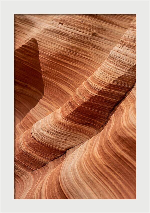 Desert Dunes In Motion