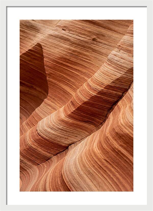 Desert Dunes In Motion