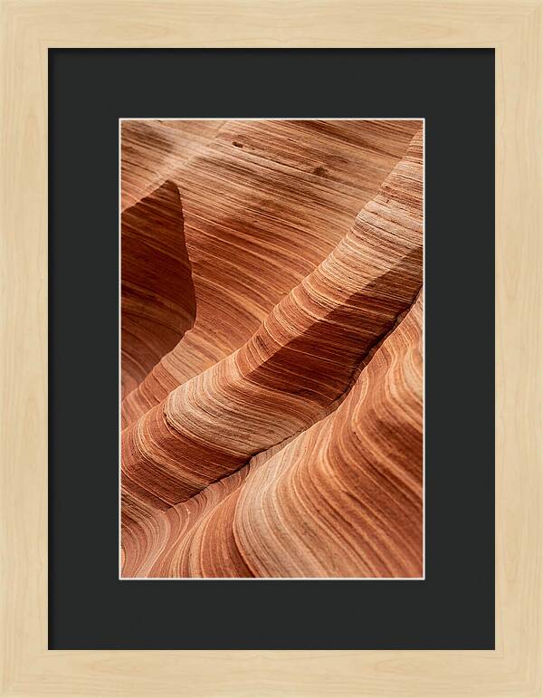 Desert Dunes In Motion