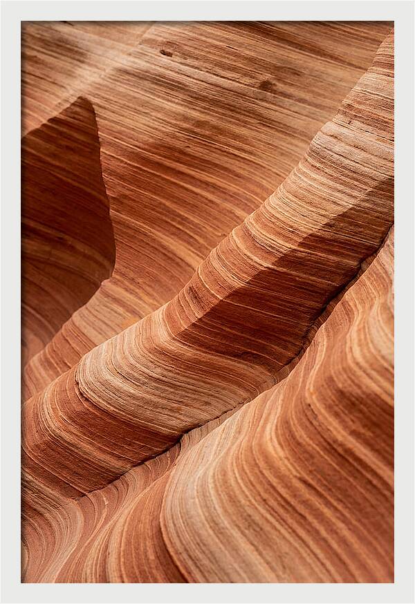 Desert Dunes In Motion