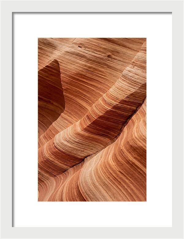 Desert Dunes In Motion