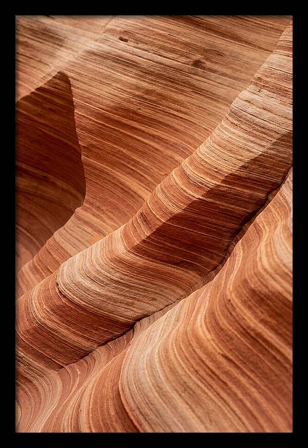 Desert Dunes In Motion