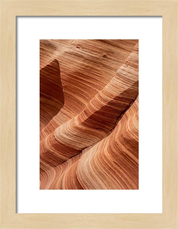 Desert Dunes In Motion
