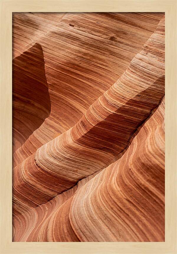 Desert Dunes In Motion