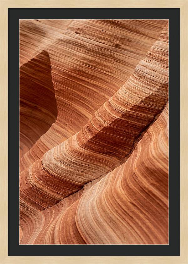 Desert Dunes In Motion