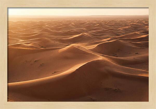 Desert Dunes Rippling Toward Horizon