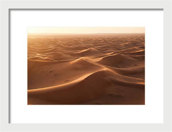 Desert Dunes Rippling Toward Horizon