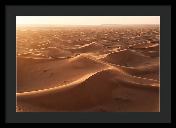 Desert Dunes Rippling Toward Horizon