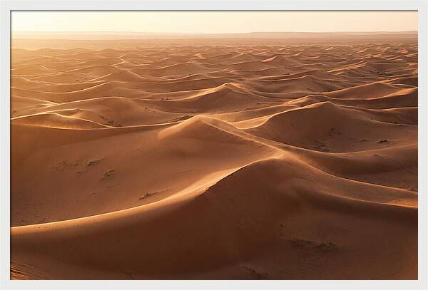 Desert Dunes Rippling Toward Horizon