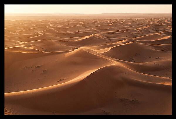 Desert Dunes Rippling Toward Horizon