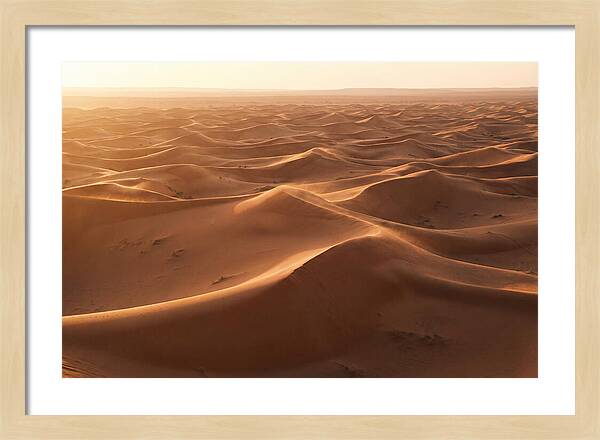 Desert Dunes Rippling Toward Horizon