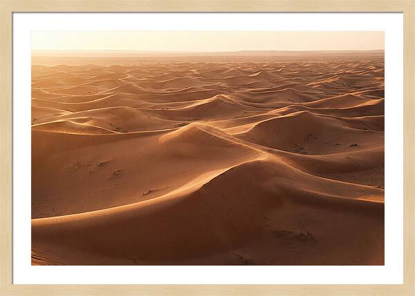 Desert Dunes Rippling Toward Horizon