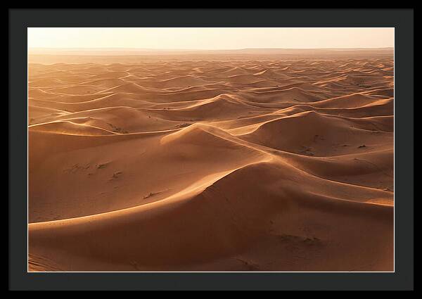 Desert Dunes Rippling Toward Horizon