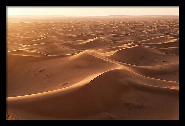Desert Dunes Rippling Toward Horizon