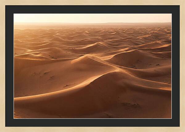 Desert Dunes Rippling Toward Horizon