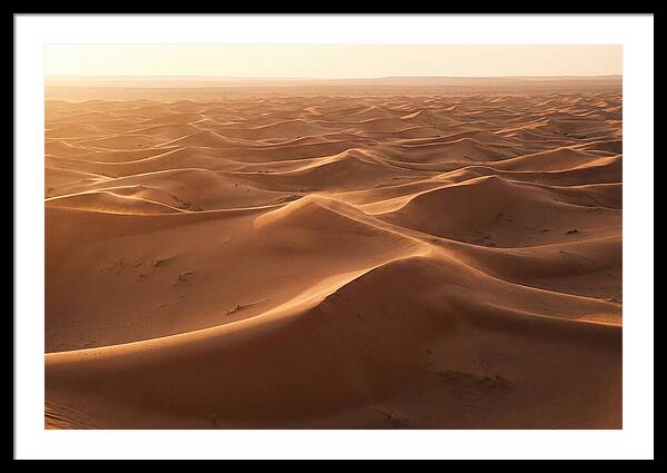 Desert Dunes Rippling Toward Horizon