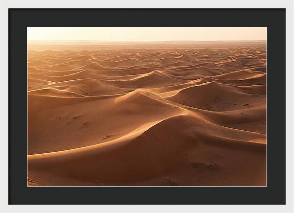 Desert Dunes Rippling Toward Horizon