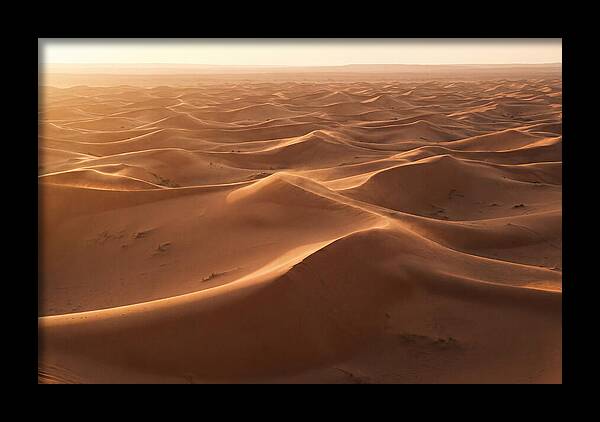 Desert Dunes Rippling Toward Horizon