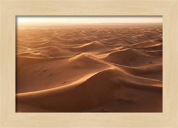 Desert Dunes Rippling Toward Horizon