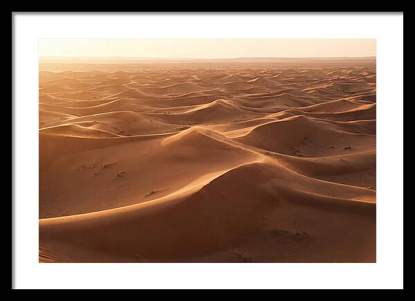 Desert Dunes Rippling Toward Horizon