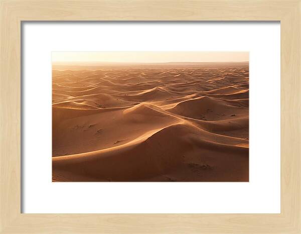 Desert Dunes Rippling Toward Horizon