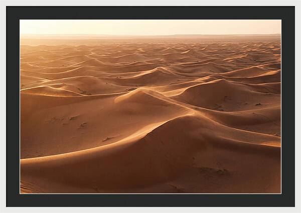Desert Dunes Rippling Toward Horizon